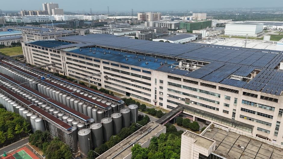 Working with a Ningbo Slipper Factory: What to Expect
