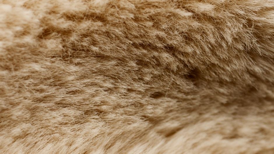 Plush vs Fleece vs Memory Foam Slippers: A Materials Comparison